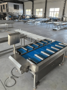 <b>通过整异物检测取分量分选双系统</b>